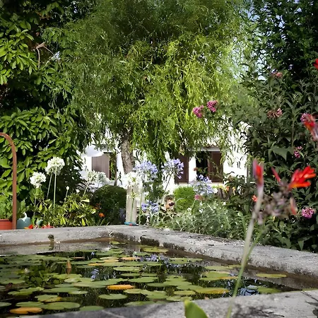Camp De L'alzina * Pollença